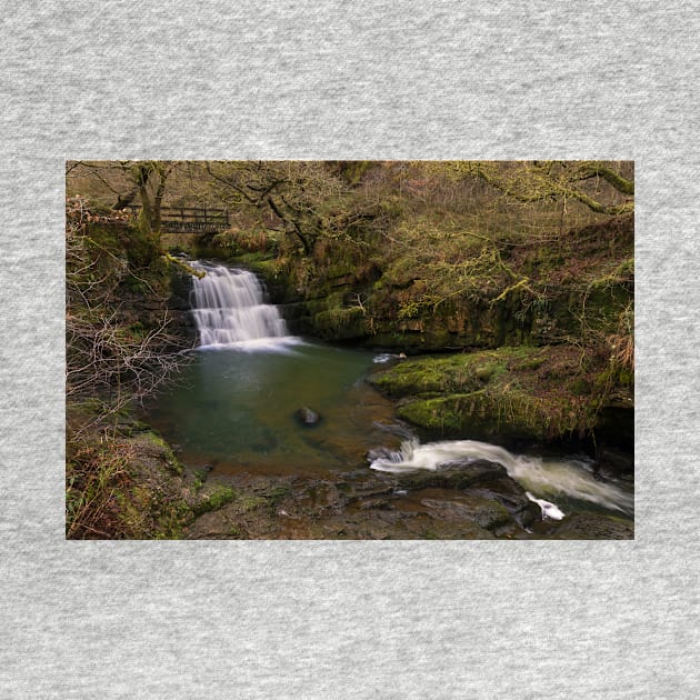 Sgydau Sychryd, Dinas Rock, Brecon Beacons by dasantillo